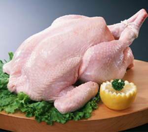 CHICKEN